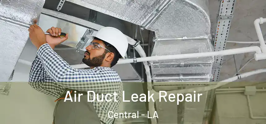  Air Duct Leak Repair Central - LA