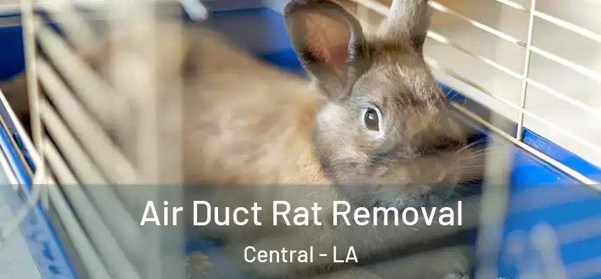  Air Duct Rat Removal Central - LA