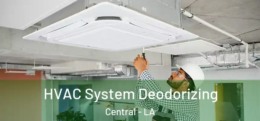  HVAC System Deodorizing Central - LA