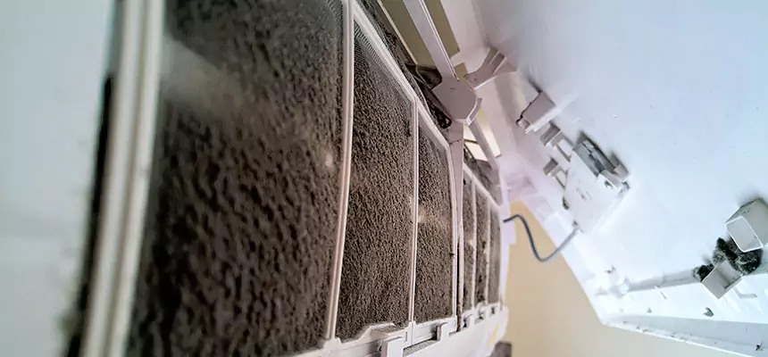 Preventive Air Duct Bacteria Removal in Central