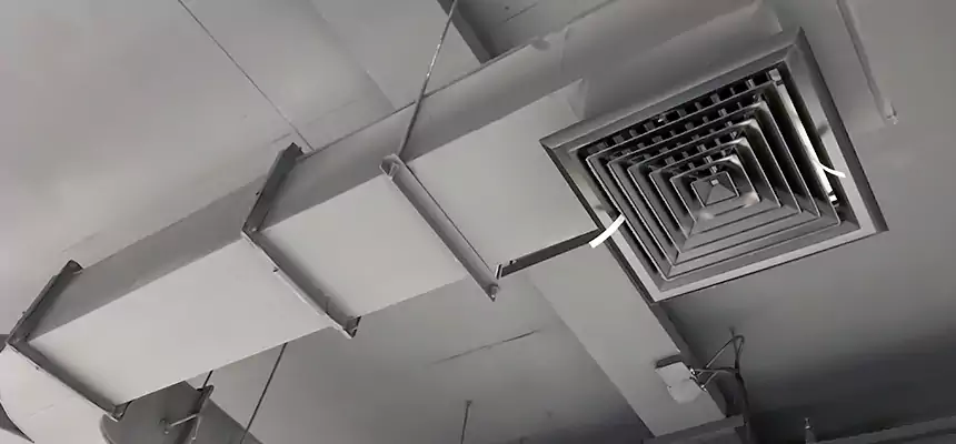 Restorative Allergy Relief Vent Cleaning – Coil, Blower & Housing Detail in Central