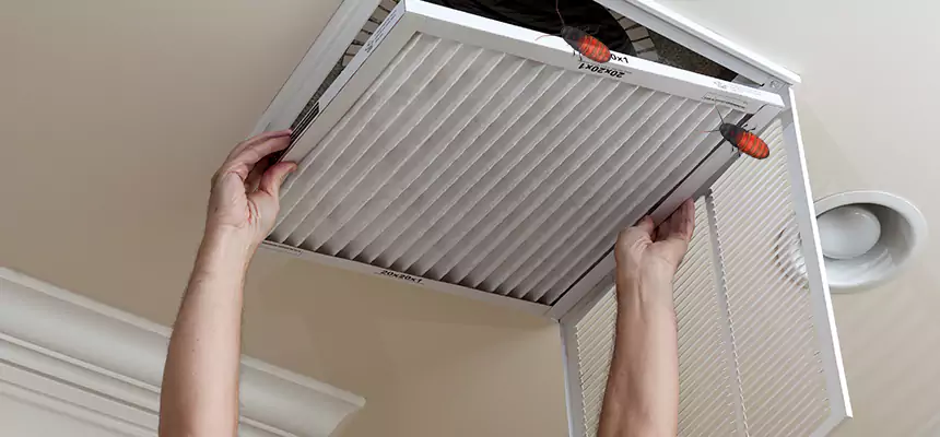 Our Insect Removal from Air Ducts Services in Central, LA