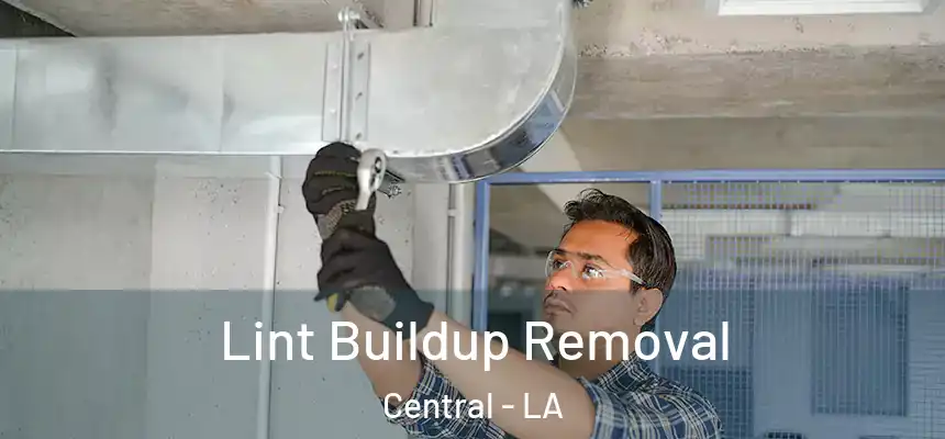  Lint Buildup Removal Central - LA