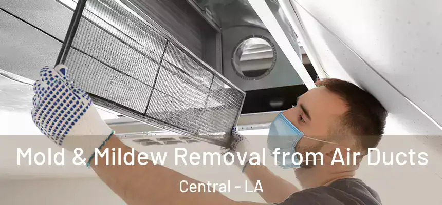 Mold & Mildew Removal from Air Ducts Central - LA