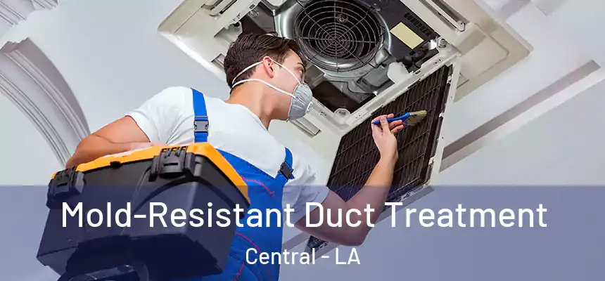  Mold-Resistant Duct Treatment Central - LA