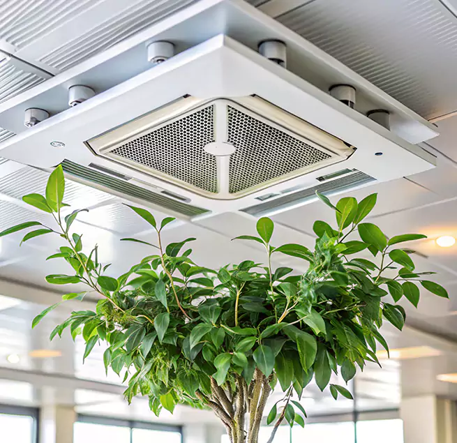 Why Homeowners & Businesses Trust Us in Central, LA?